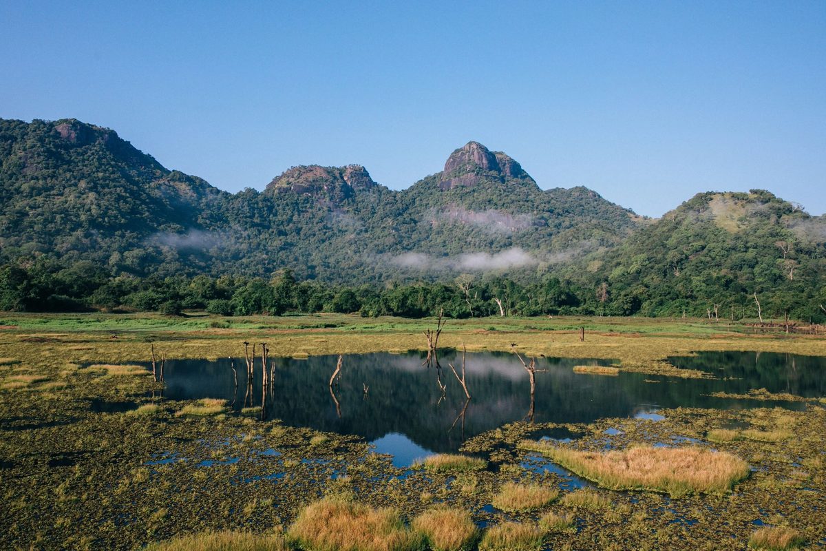 The reservoir and forested hills of Gal Oya