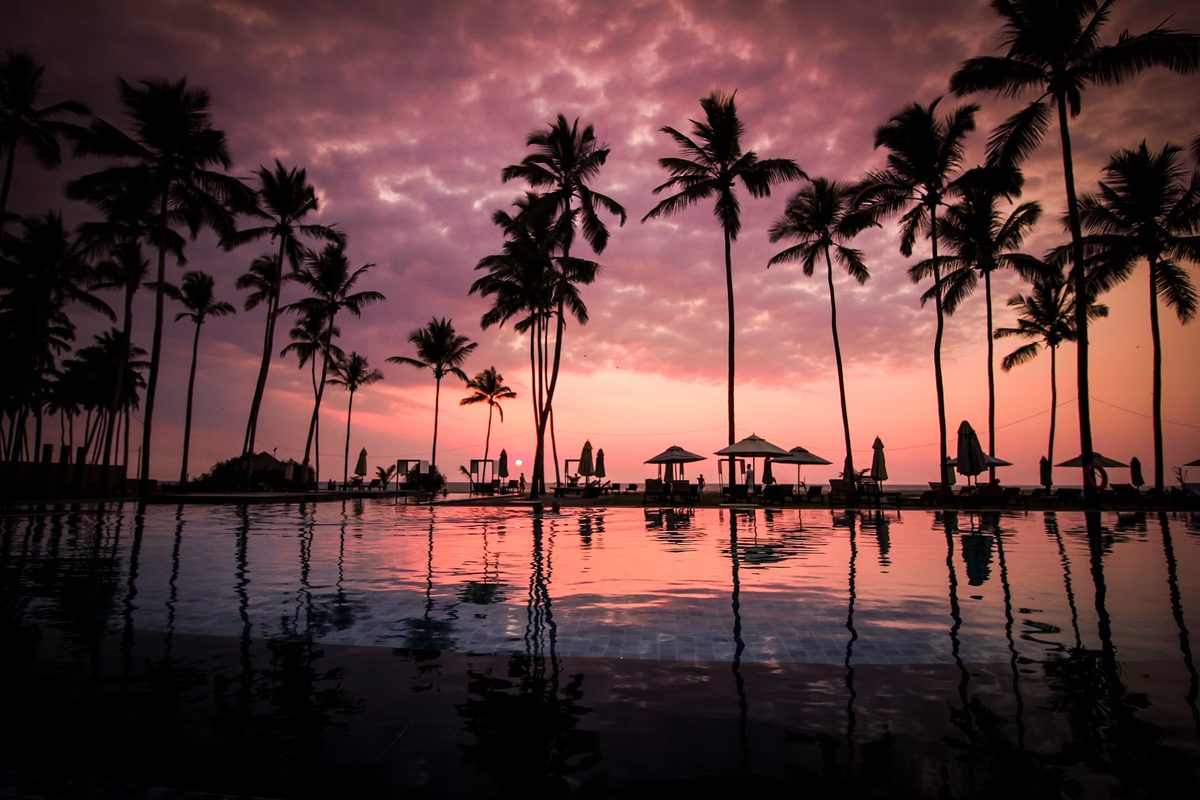 Palms and beach umbrellas silhouetted against a pink sunset by the sea